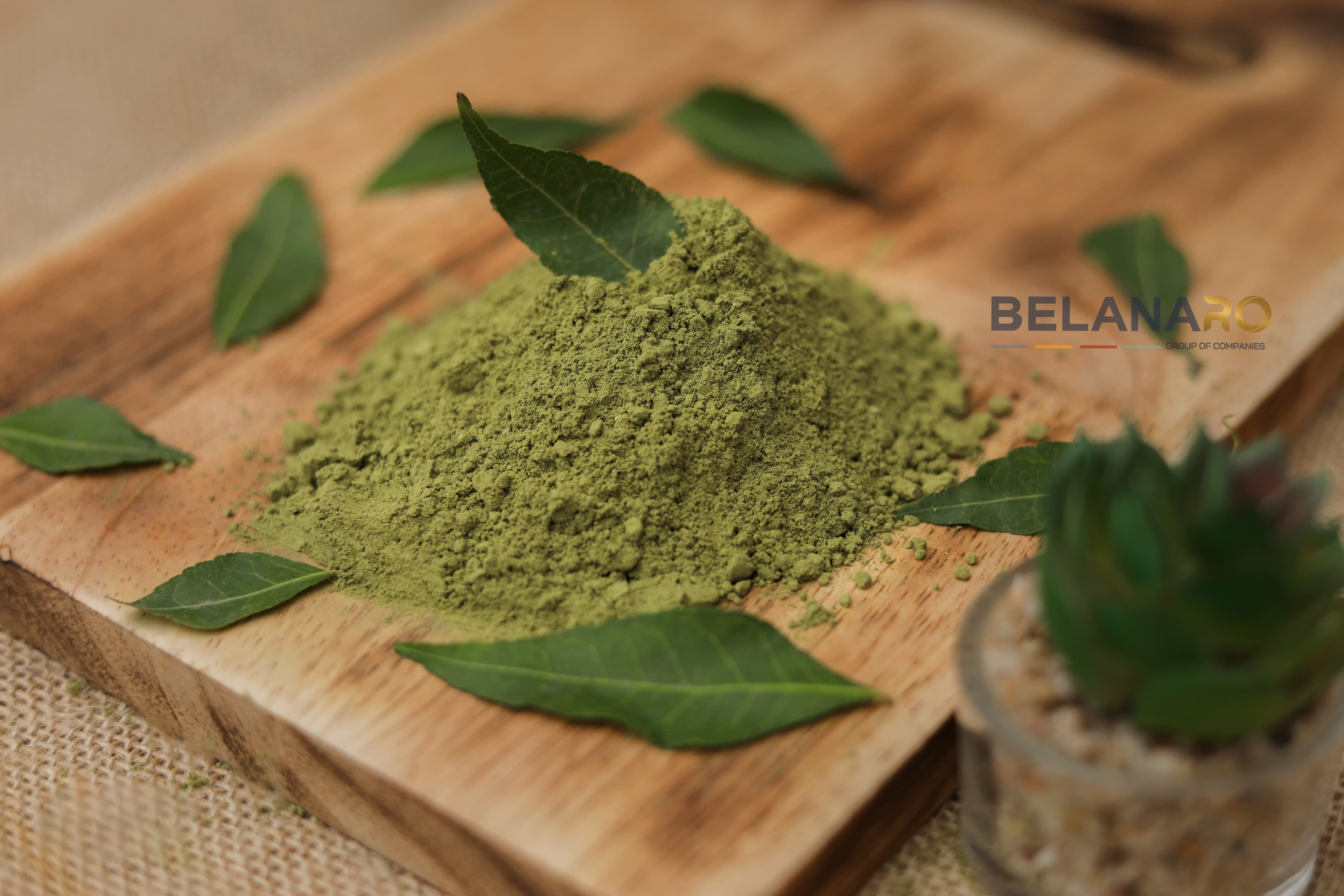 Curry Leaves Powder
