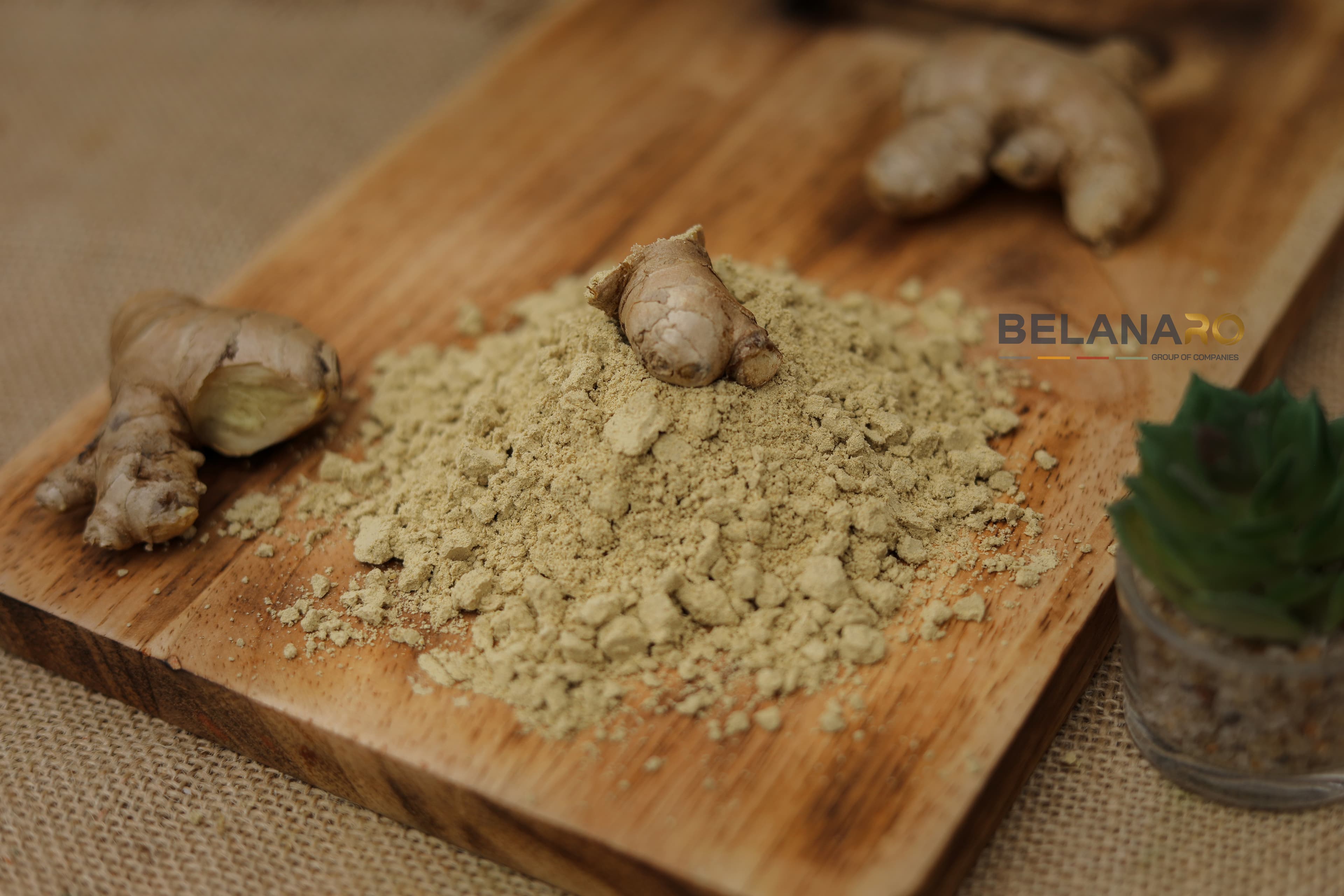 Ginger Powder/Flakes