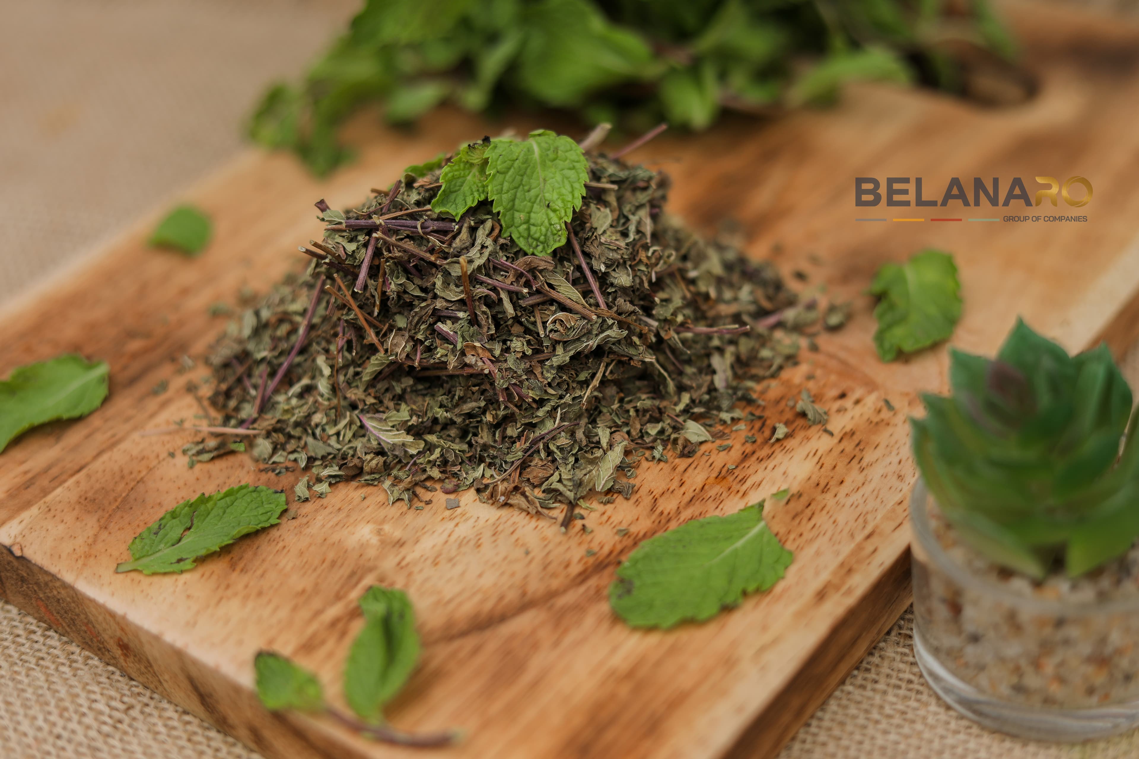 Mint Leaves