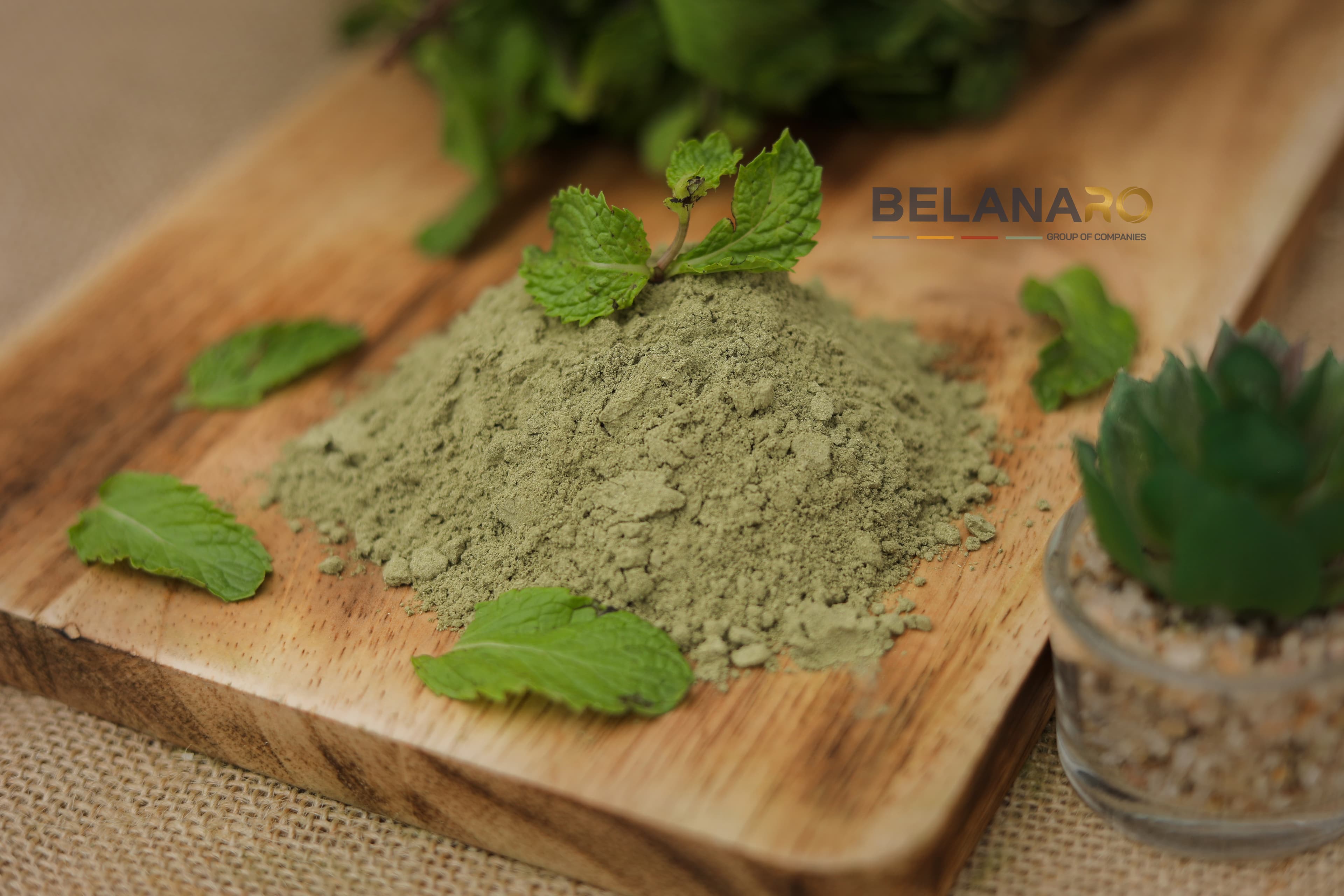 Mint Powder