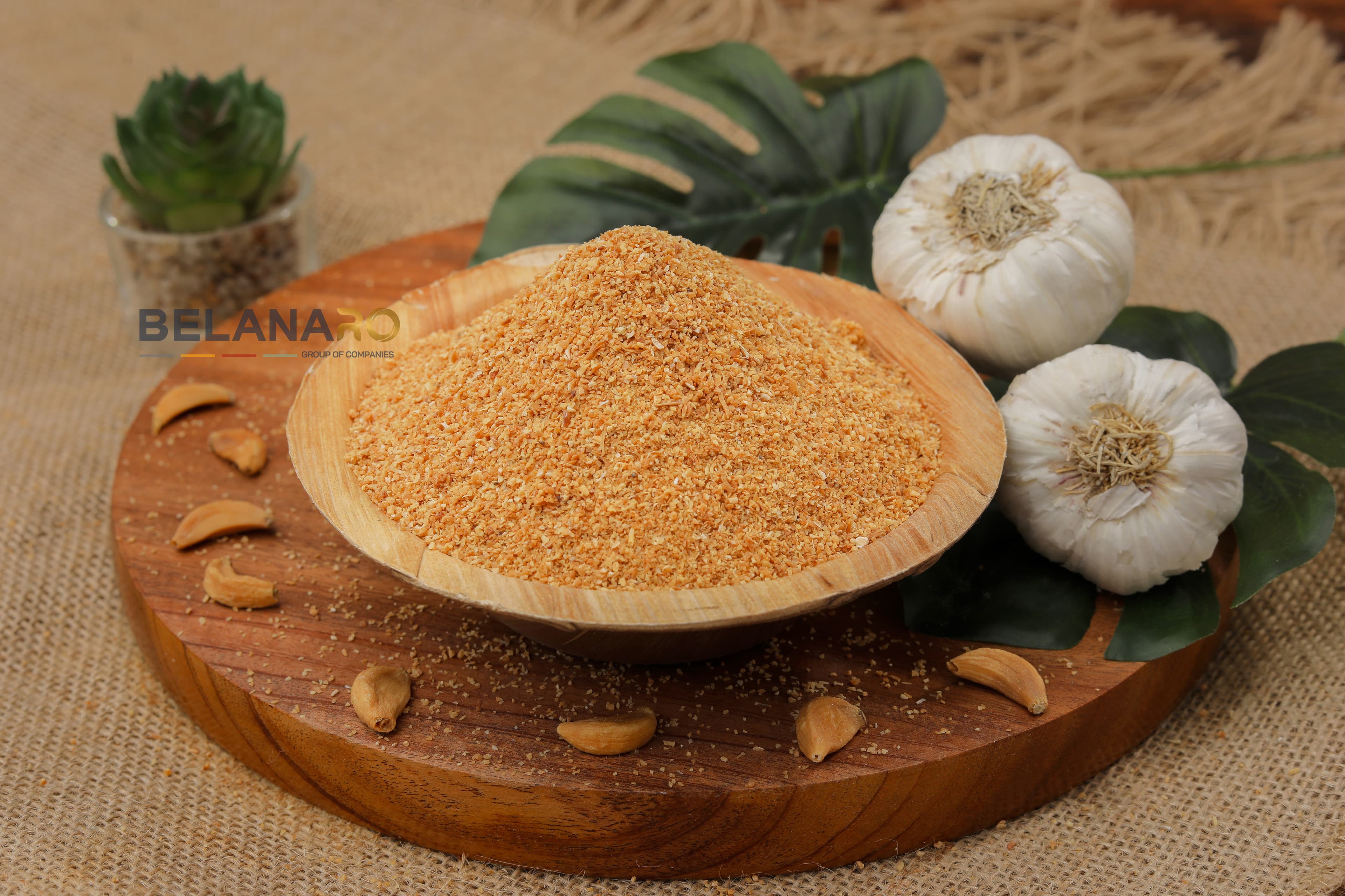 Dehydrated Garlic Granules