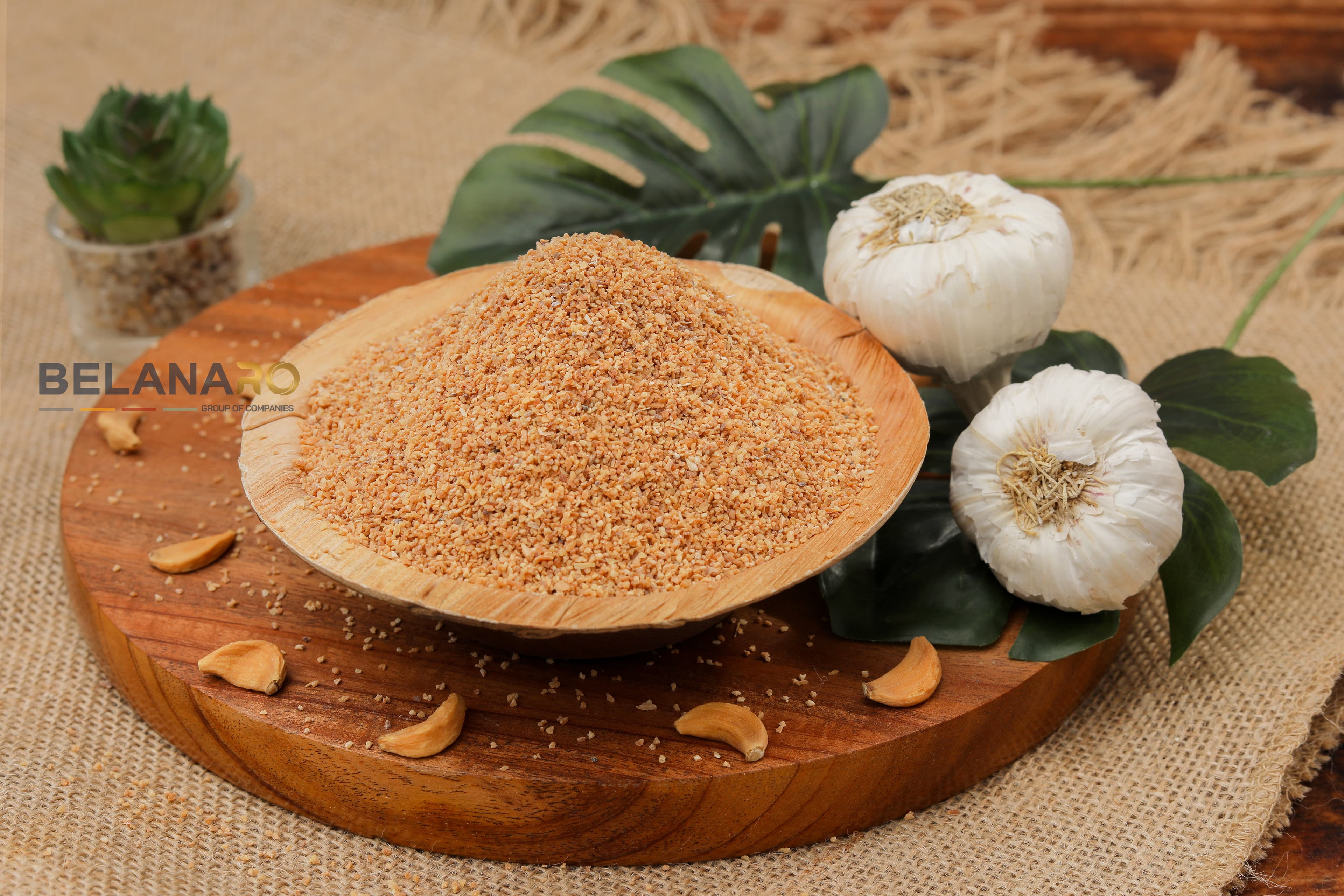 Dehydrated Garlic Minced