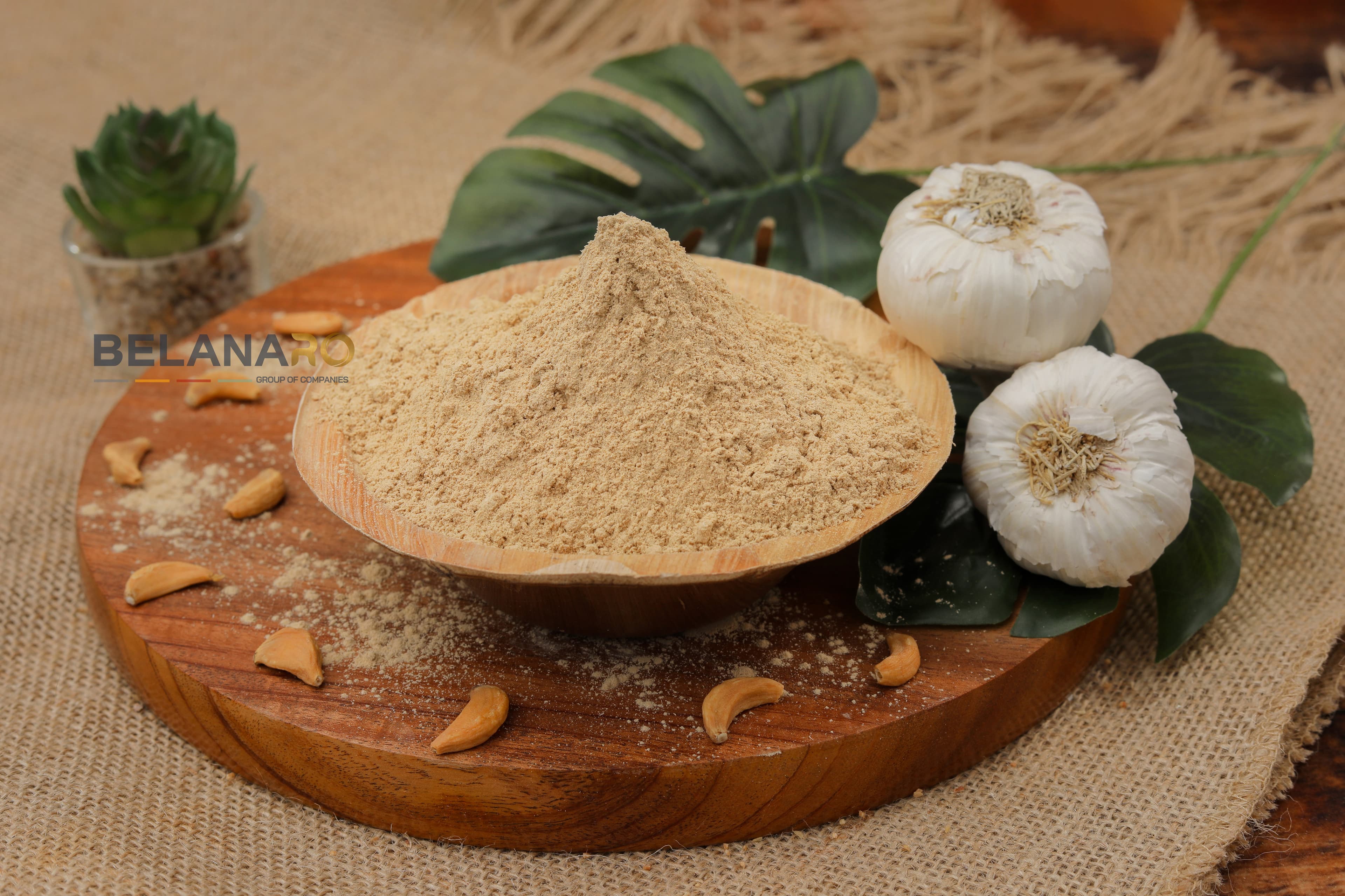 Dehydrated Garlic Powder