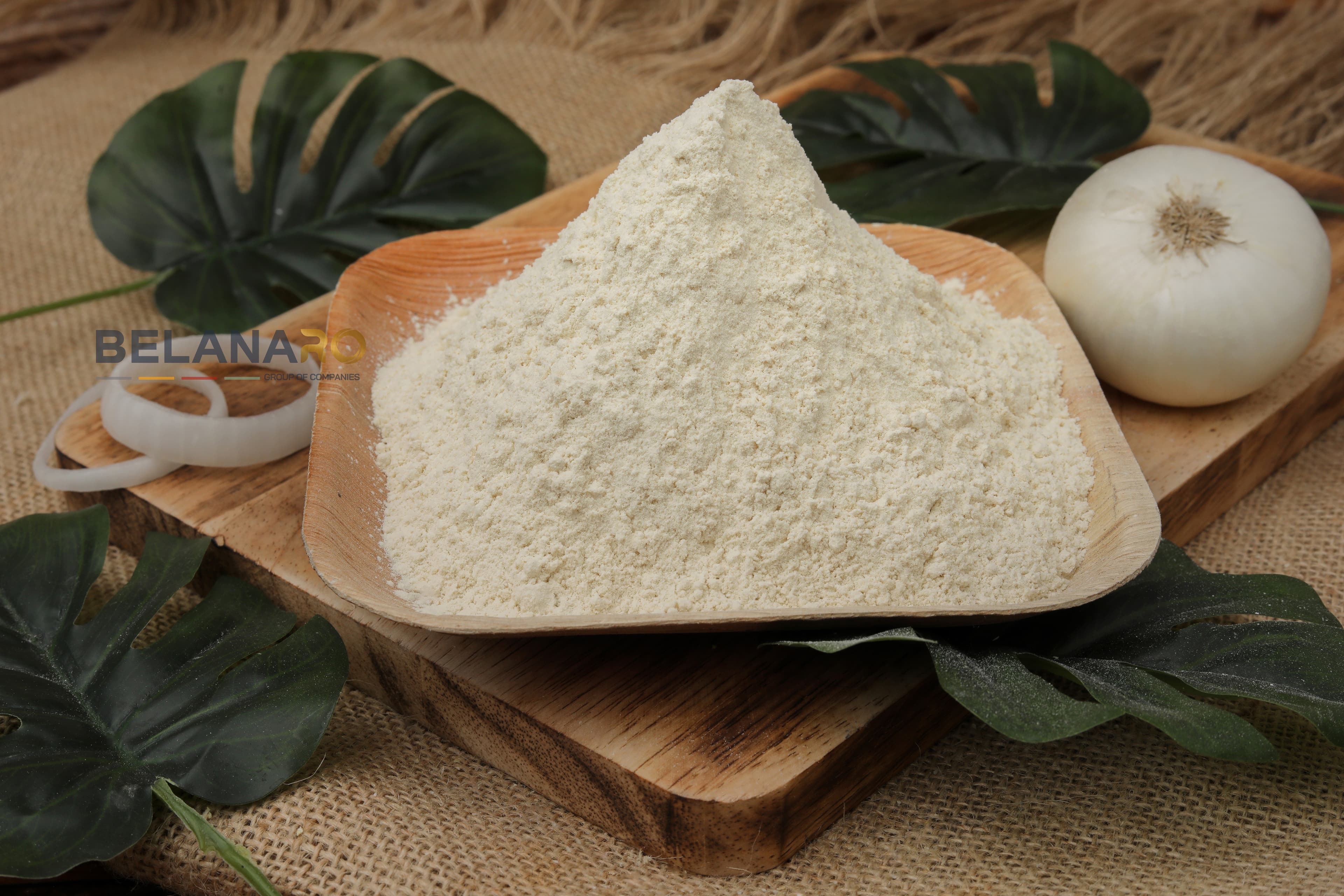 Dehydrated White Onion Powder